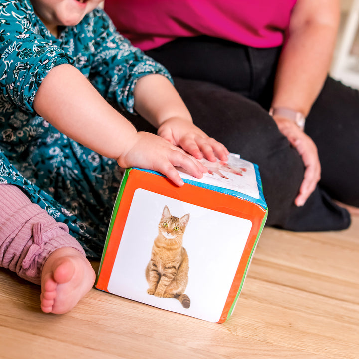 Jeu mémo animaux de la Réunion pour enfants de Modeste Madoré - Jeux & Jouets